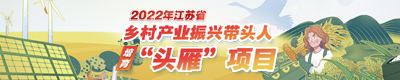 頭雁項目